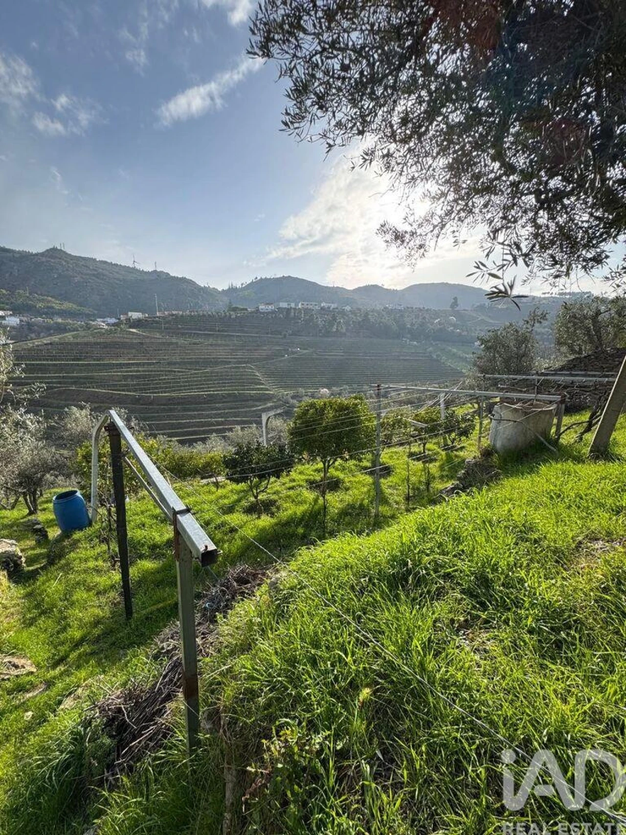 Terreno para Venda em Tabuaço Foto 12