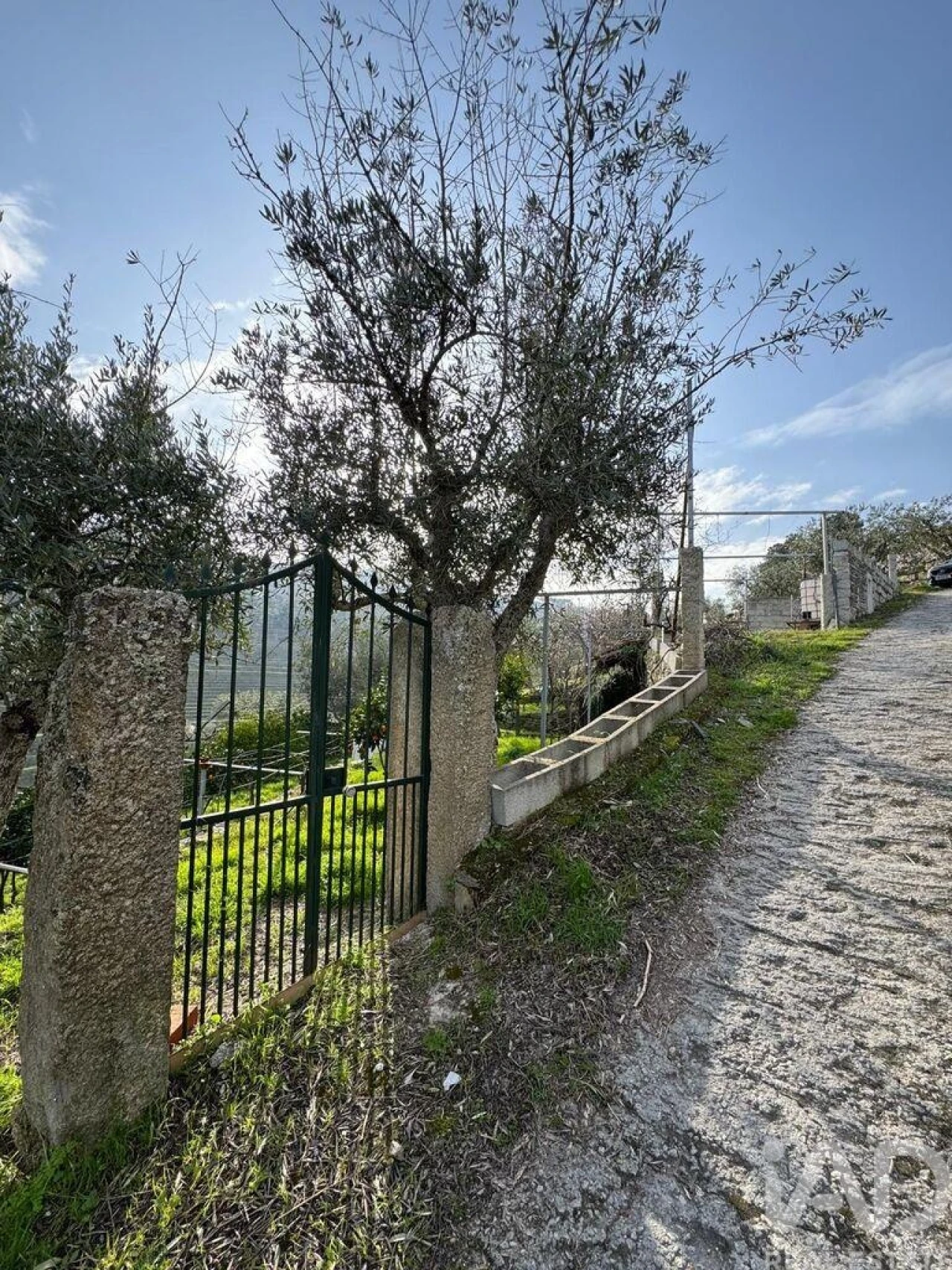 Terreno para Venda em Tabuaço Foto 4