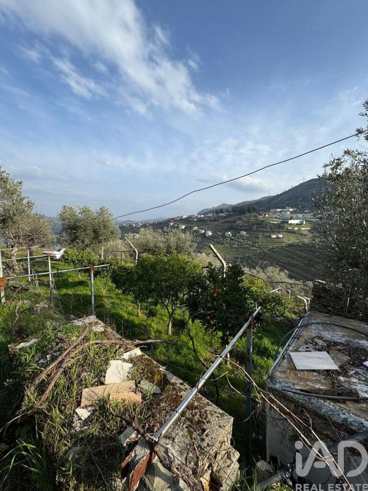 Terreno para Venda em Tabuaço Foto 16
