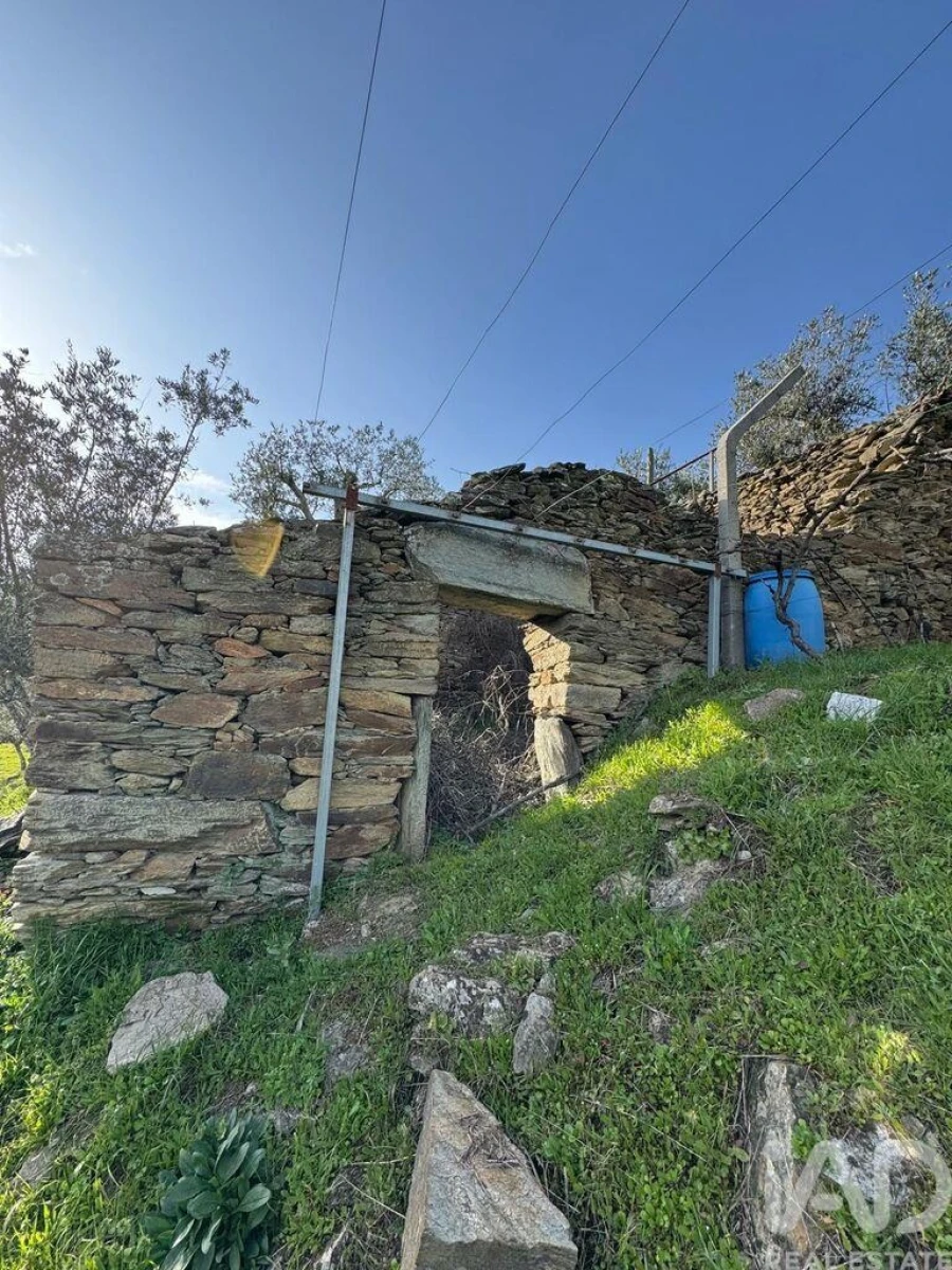 Terreno para Venda em Tabuaço Foto 7