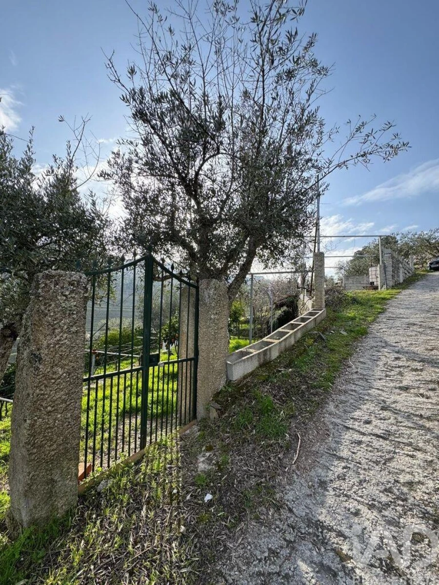 Terreno para Venda em Tabuaço Foto 4