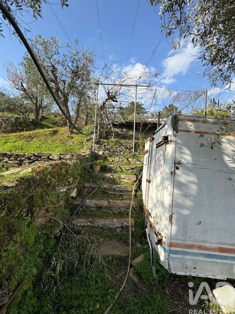 Terreno para Venda em Tabuaço Foto 10