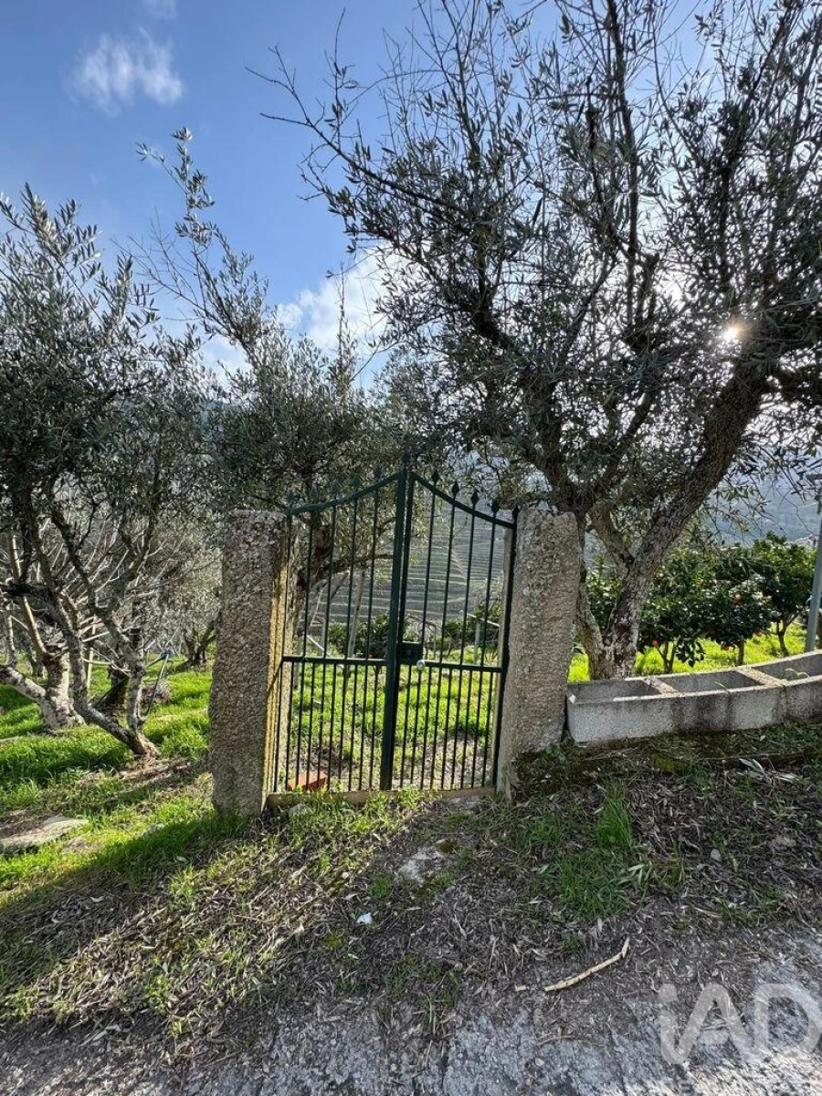 Terreno para Venda em Tabuaço Foto 2