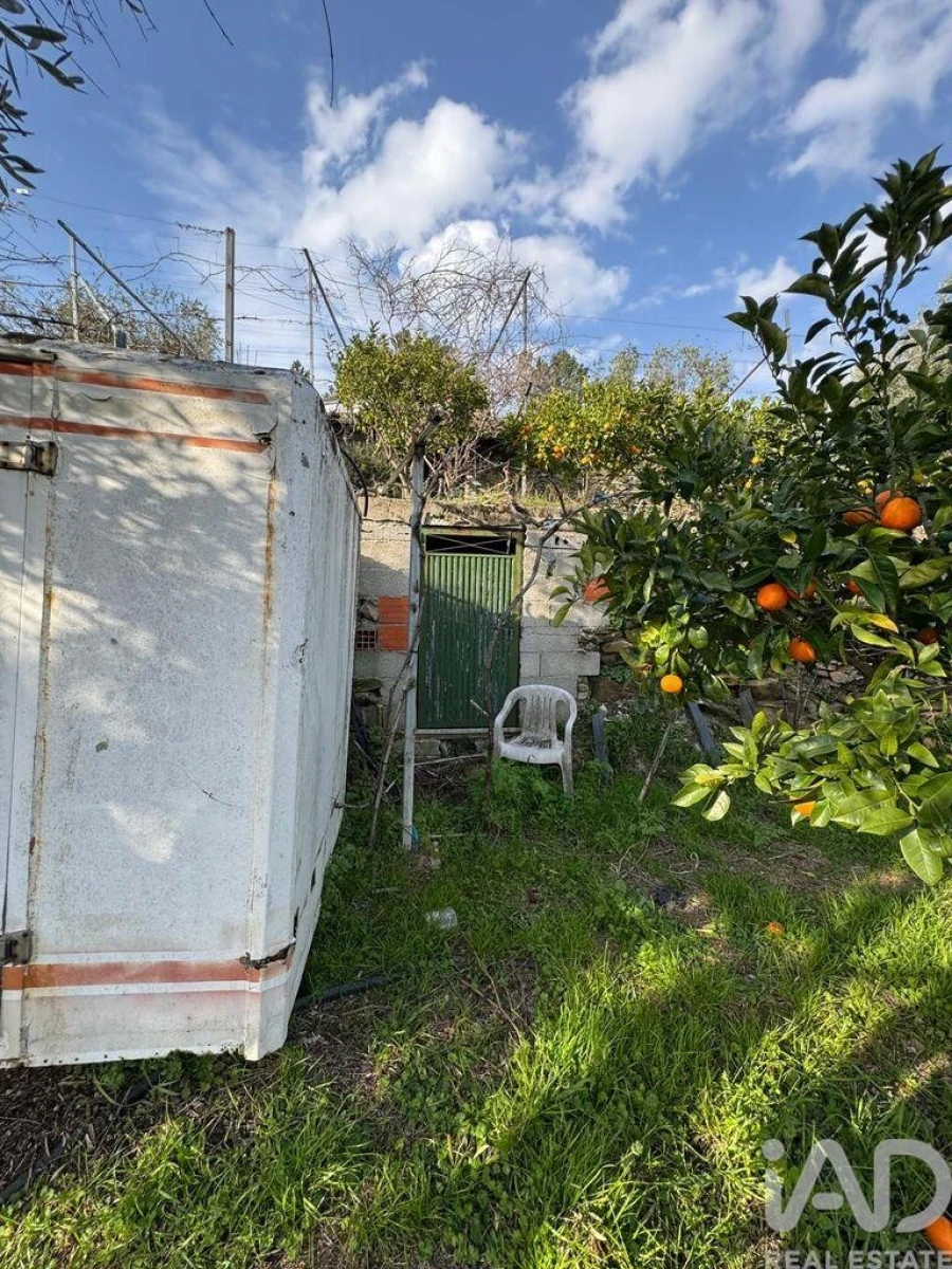 Terreno para Venda em Tabuaço Foto 9
