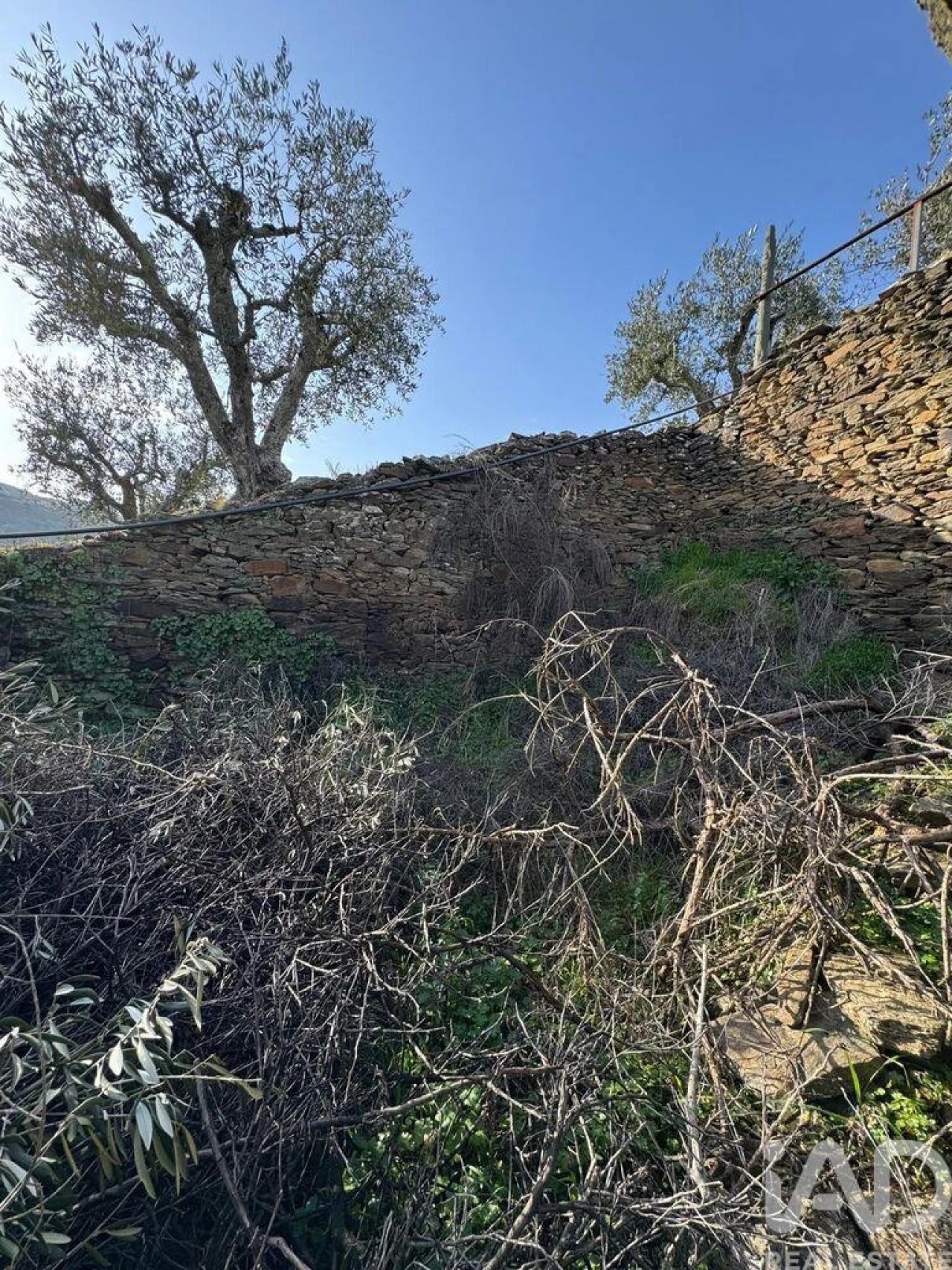 Terreno para Venda em Tabuaço Foto 8