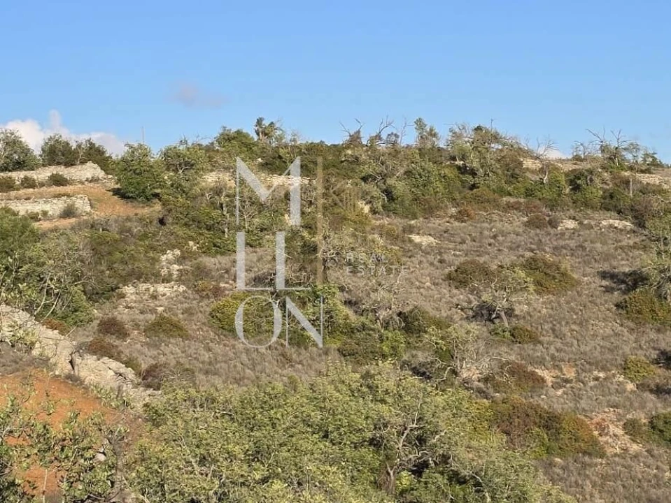 Terreno para Venda em Paderne Foto 4