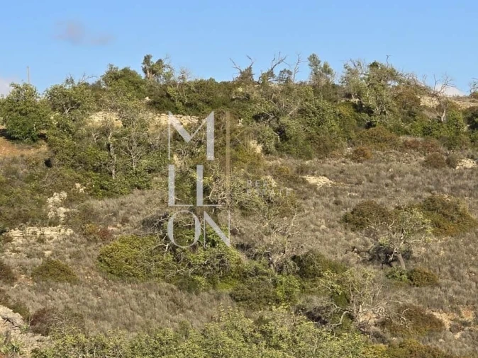 Terreno para Venda em Paderne Foto 2