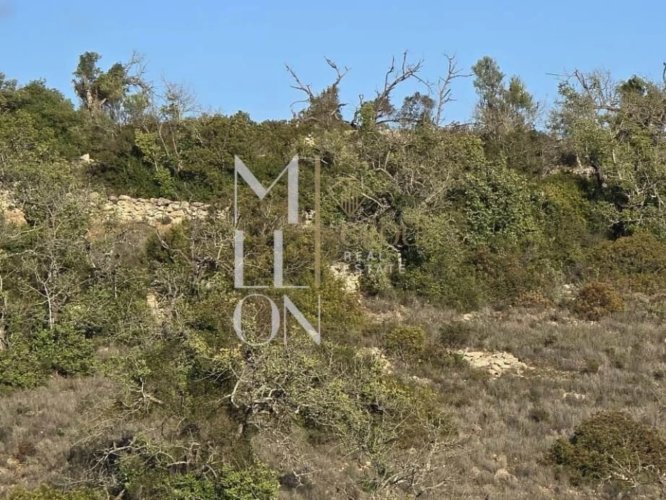 Terreno para Venda em Paderne Foto 3