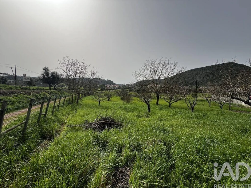 Moradia T3 para Venda em São Miguel, Santa Eufémia e Rabaçal Foto 37