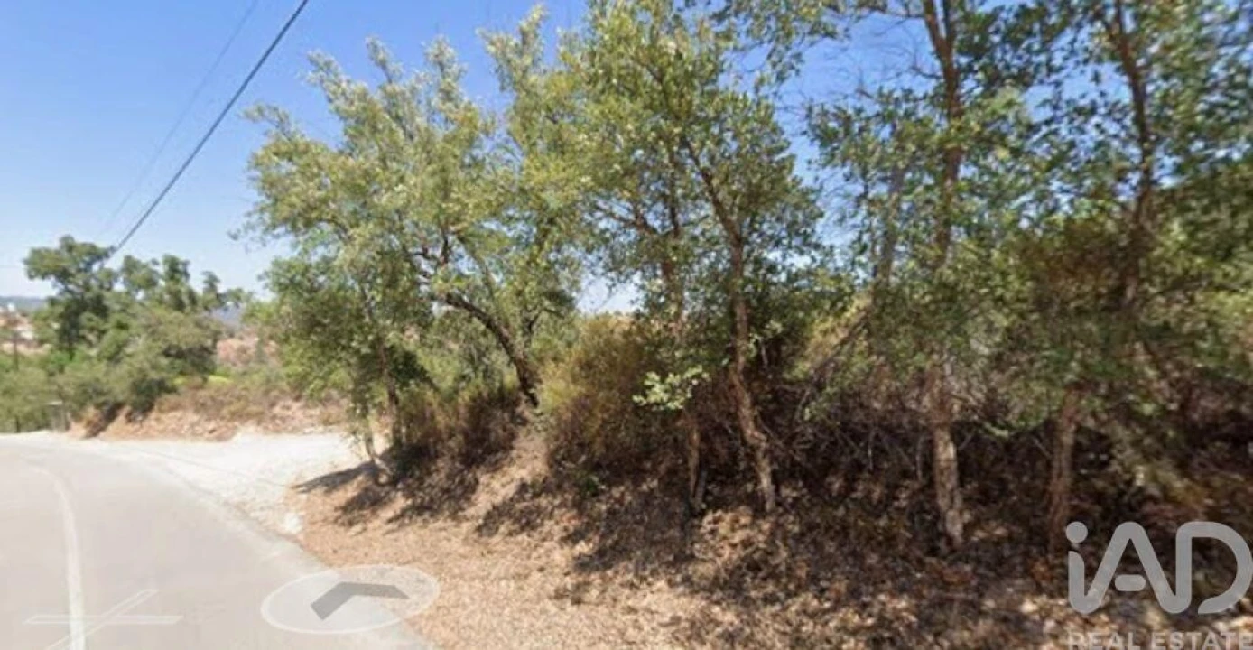 Terreno para Venda em Santa Catarina da Fonte do Bispo Foto 2