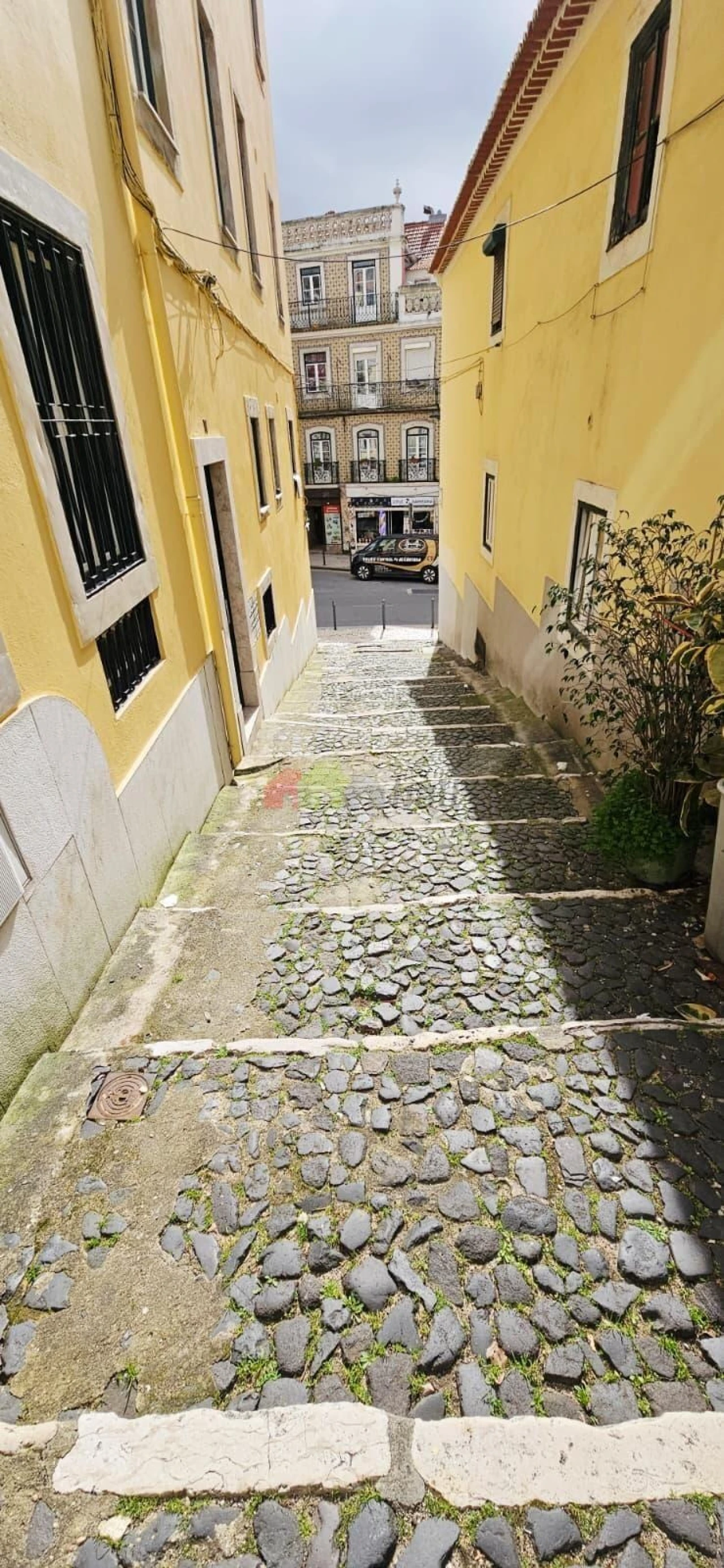 Apartamento T1 para Venda em Estrela Foto 3