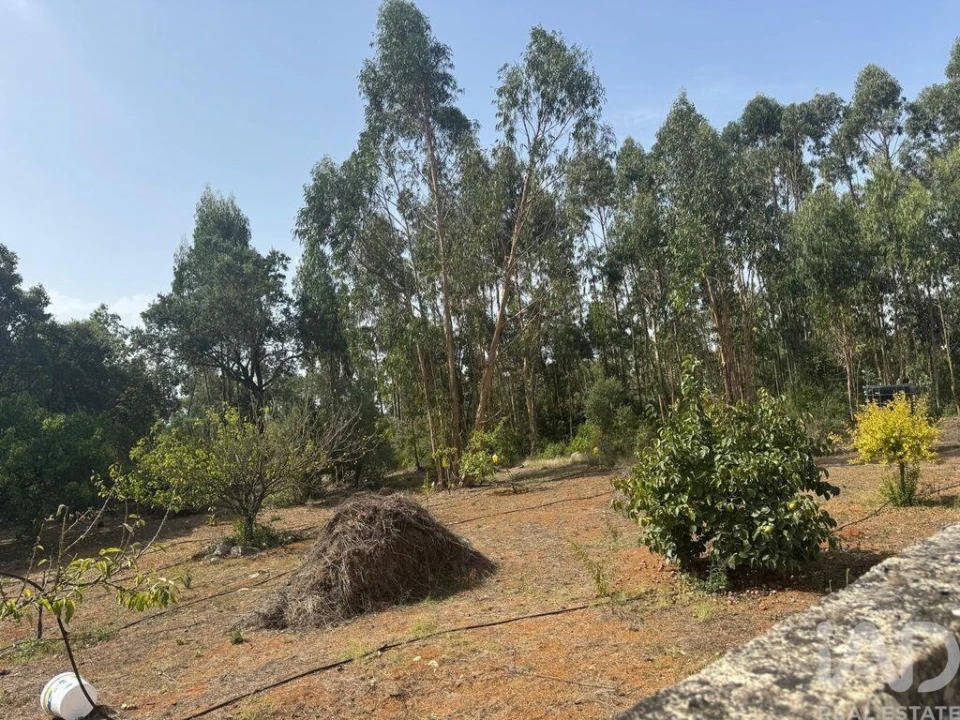 Moradia T3 para Venda em Alcobaça e Vestiaria Foto 40