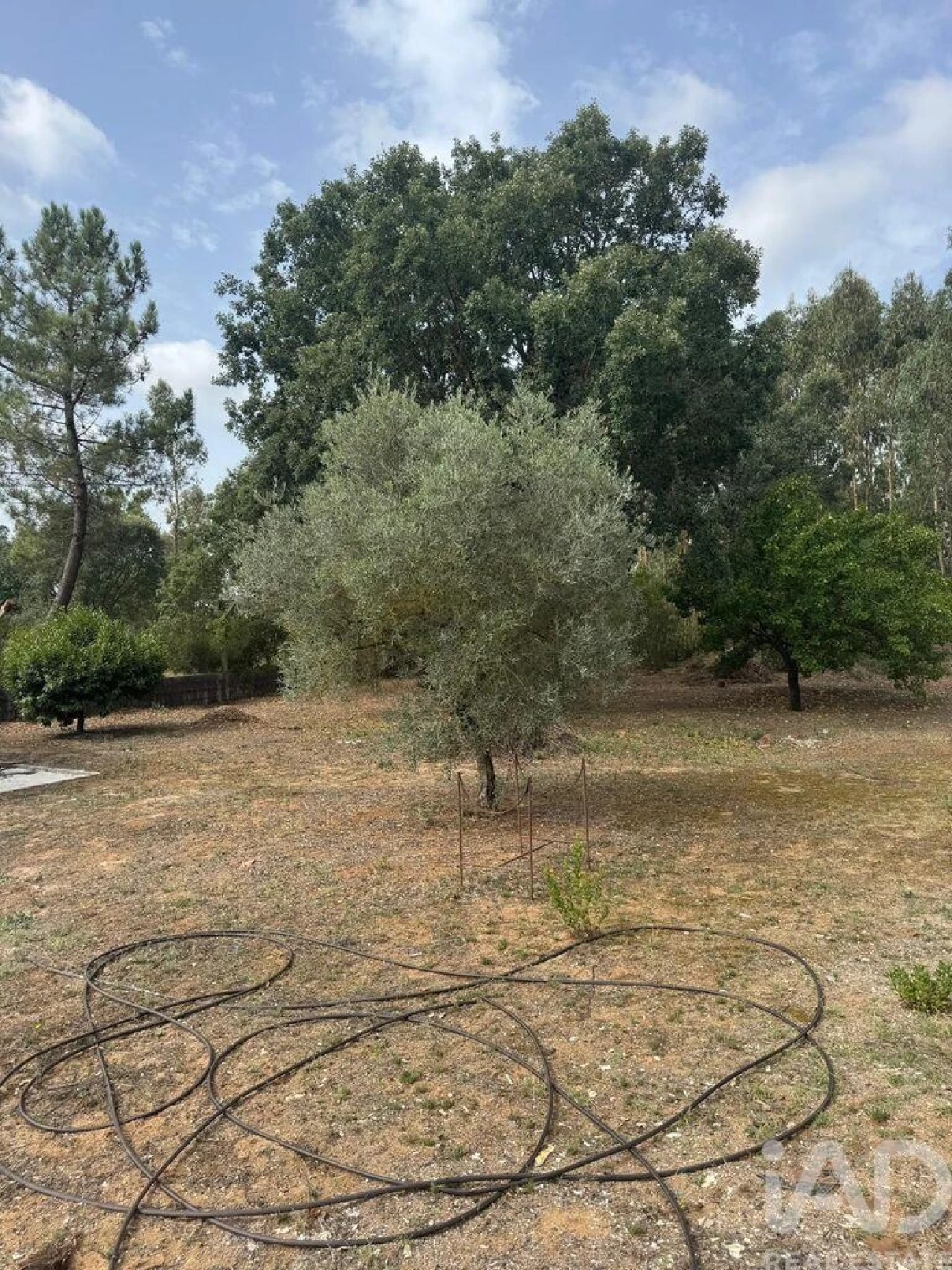 Moradia T3 para Venda em Alcobaça e Vestiaria Foto 39