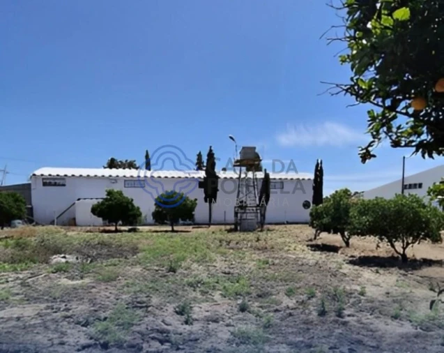 Terreno para Venda em Palmela Foto 13