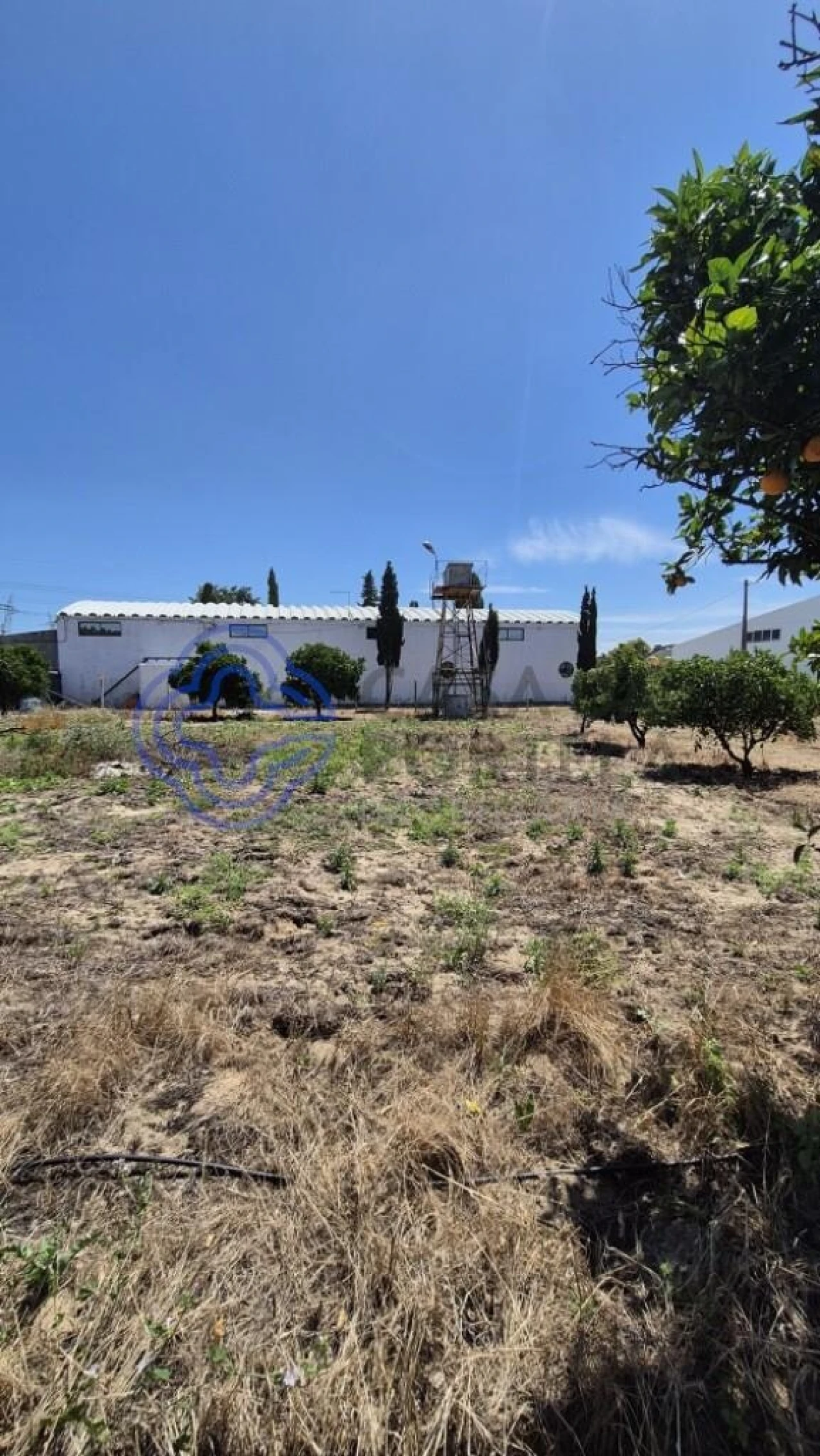 Terreno para Venda em Palmela Foto 9