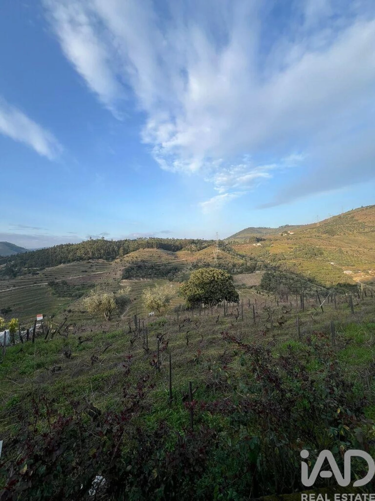 Moradia para Venda em Vacalar Foto 3