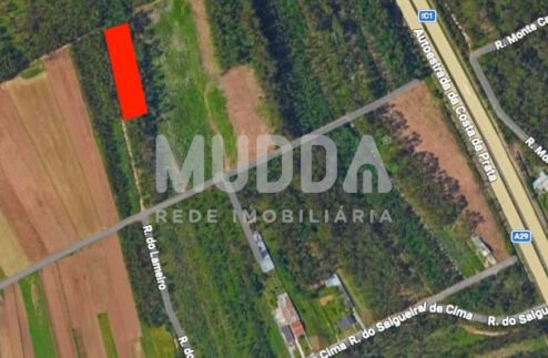 Terreno para Venda em Ovar, São João, Arada e São Vicente de Pereira Jusã Foto 1