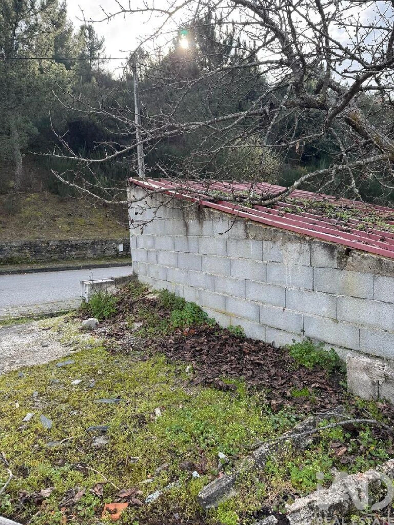 Terreno para Venda em Tabuaço Foto 13