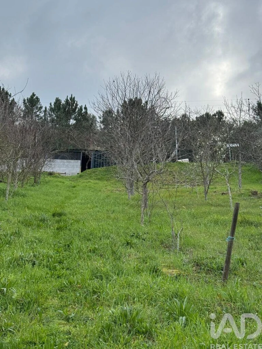 Terreno para Venda em Tabuaço Foto 5