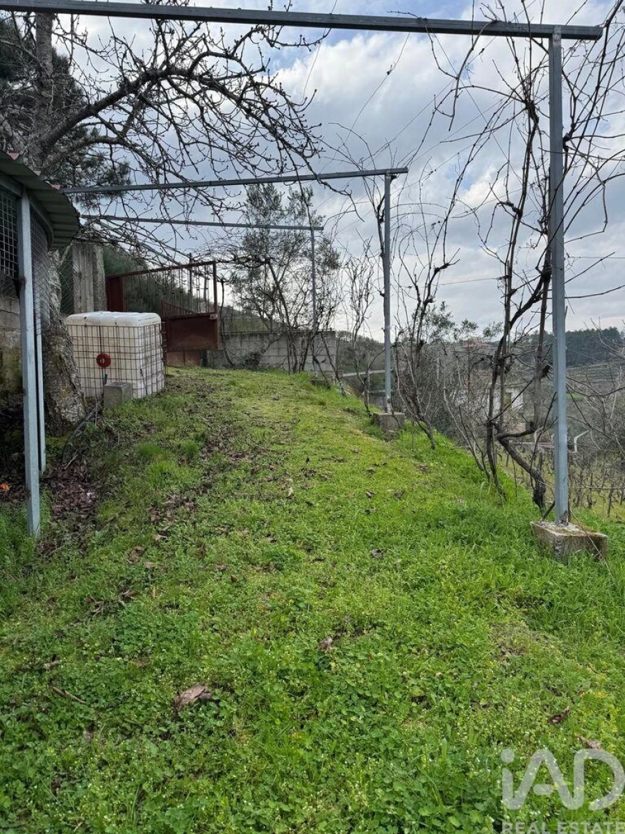 Terreno para Venda em Tabuaço Foto 4