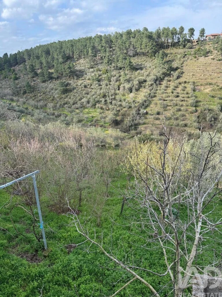 Terreno para Venda em Tabuaço Foto 12