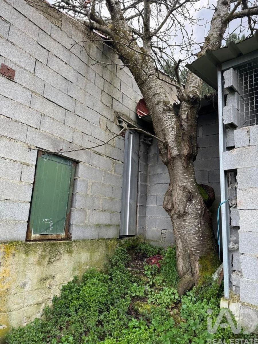 Terreno para Venda em Tabuaço Foto 6