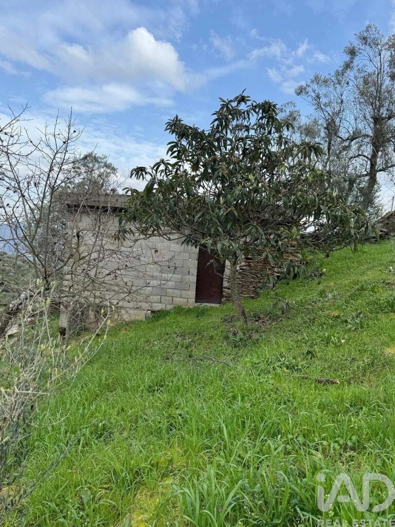 Terreno para Venda em Tabuaço Foto 2