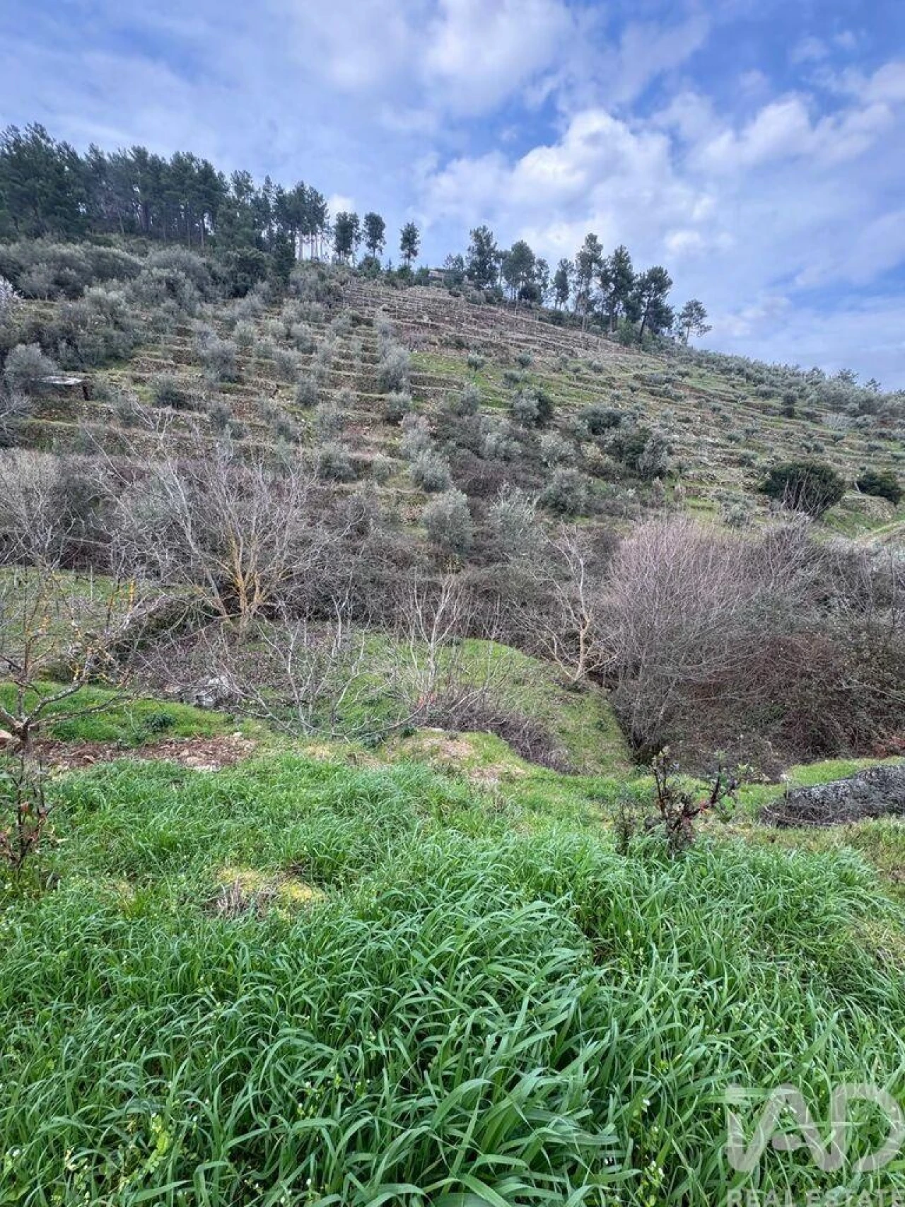 Terreno para Venda em Tabuaço Foto 11