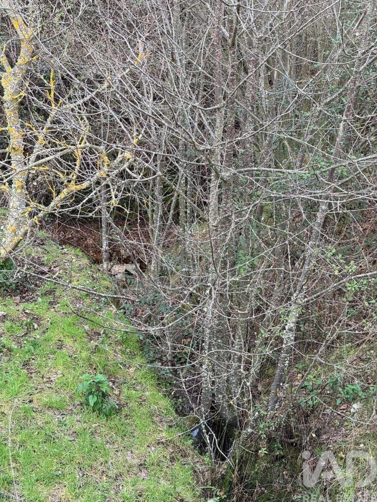 Terreno para Venda em Tabuaço Foto 10