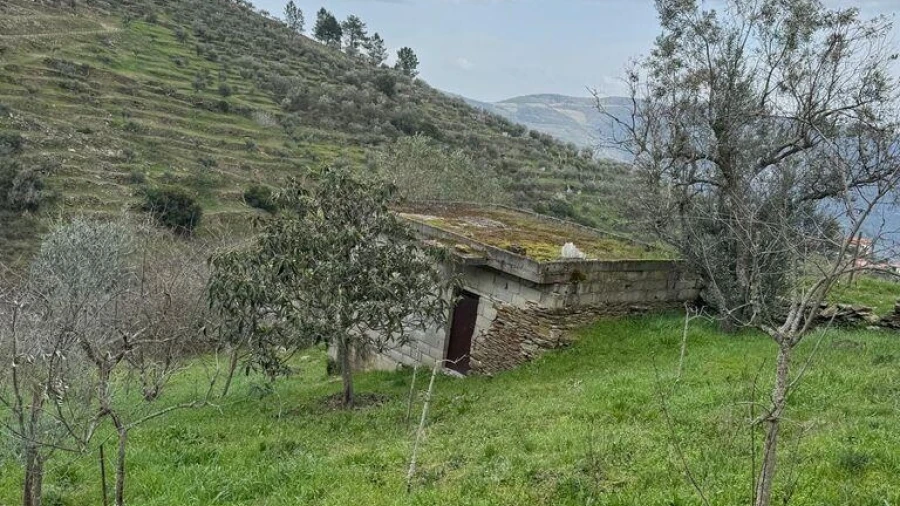 Terreno para Venda em Tabuaço