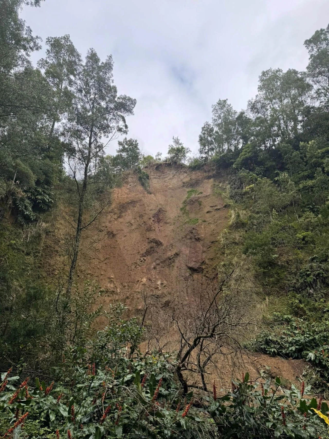 Terreno para Venda em Povoação Foto 15