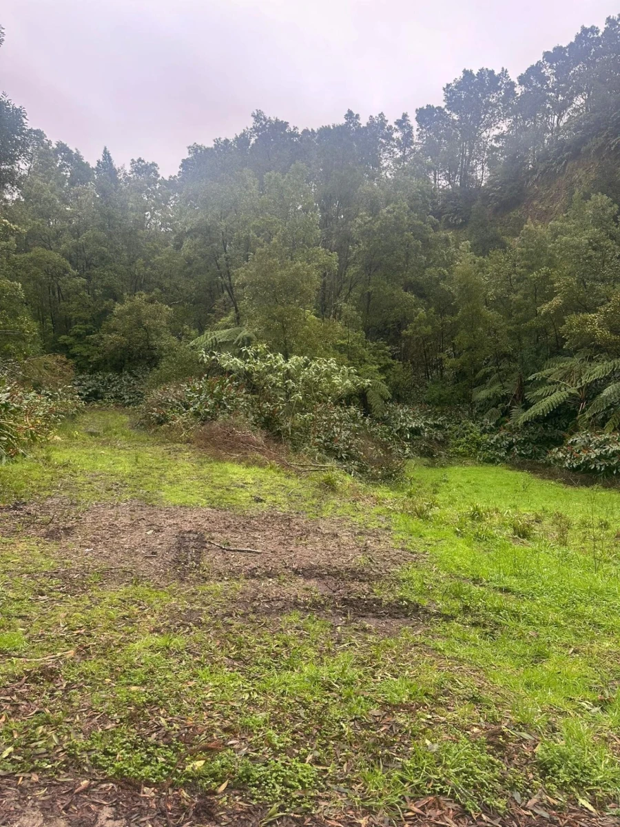 Terreno para Venda em Povoação Foto 12
