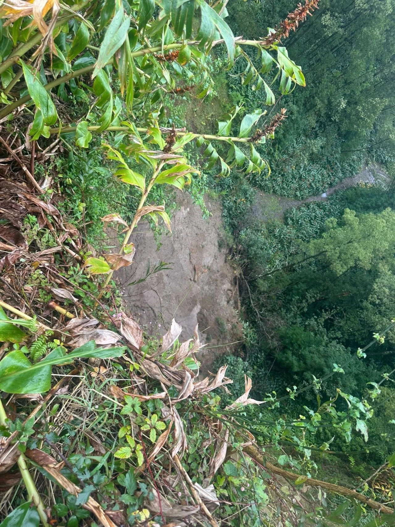 Terreno para Venda em Povoação Foto 13