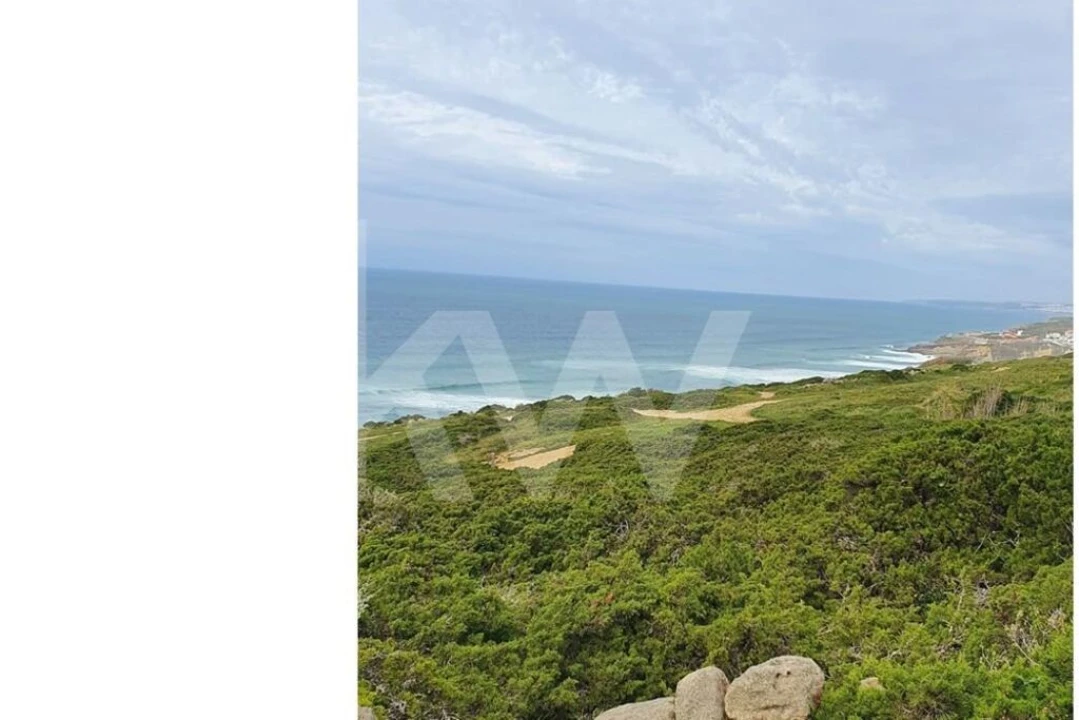 Terreno para Venda em Santa Maria e São Miguel, São Martinho, São Pedro Penaferrim Foto 4