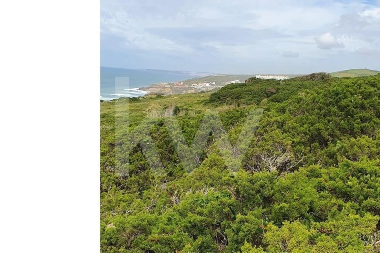 Terreno para Venda em Santa Maria e São Miguel, São Martinho, São Pedro Penaferrim Foto 3