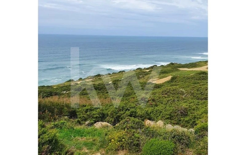 Terreno para Venda em Santa Maria e São Miguel, São Martinho, São Pedro Penaferrim