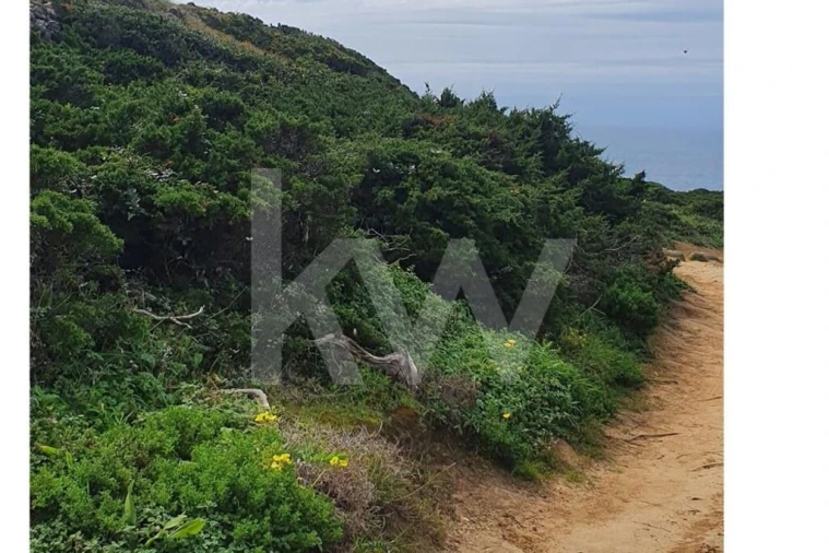 Terreno para Venda em Santa Maria e São Miguel, São Martinho, São Pedro Penaferrim Foto 2