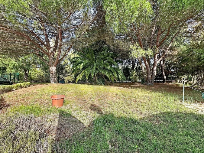 Moradia T4 para Venda em Santo Estêvão Foto 92