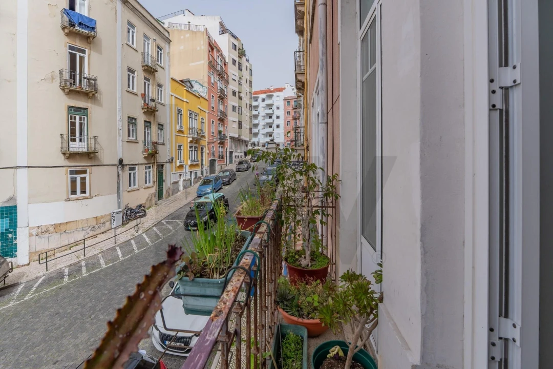 Apartamento T5 para Venda em Santo António Foto 11