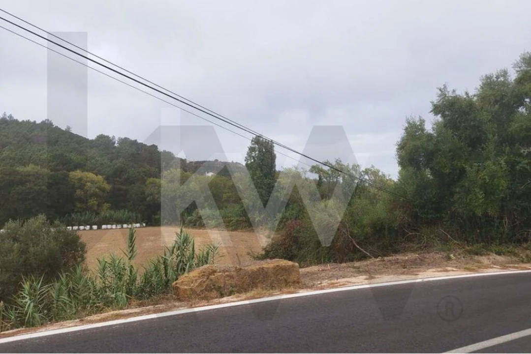 Terreno para Venda em Santo Isidoro Foto 2