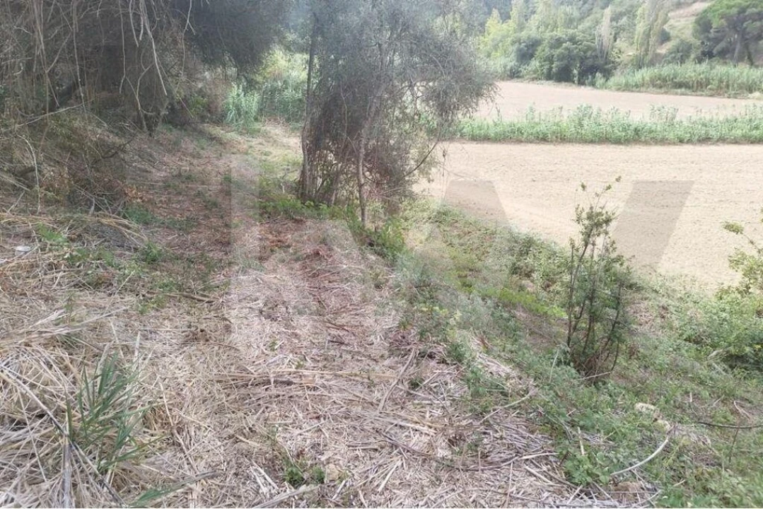Terreno para Venda em Santo Isidoro Foto 7