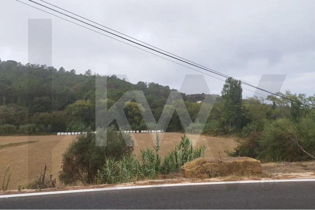 Terreno para Venda em Santo Isidoro Foto 5