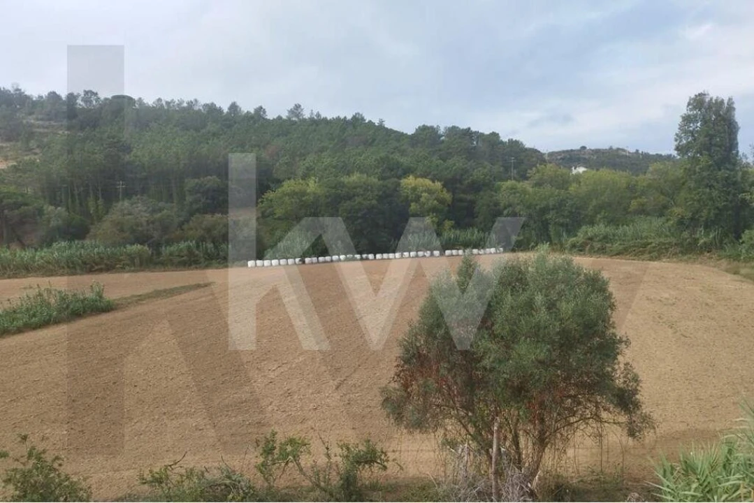 Terreno para Venda em Santo Isidoro Foto 4
