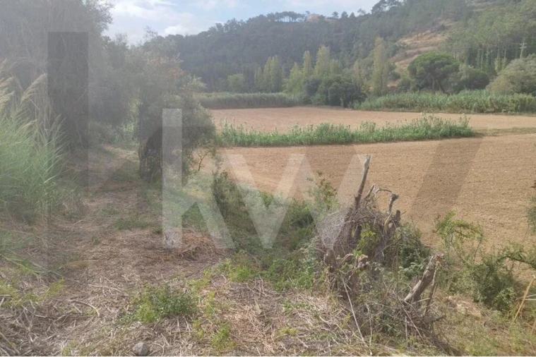Terreno para Venda em Santo Isidoro Foto 12