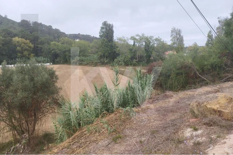 Terreno para Venda em Santo Isidoro Foto 3