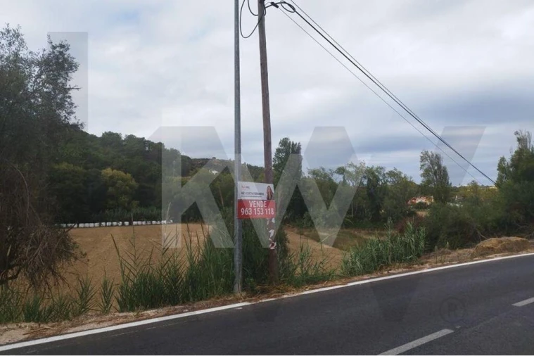 Terreno para Venda em Santo Isidoro Foto 10