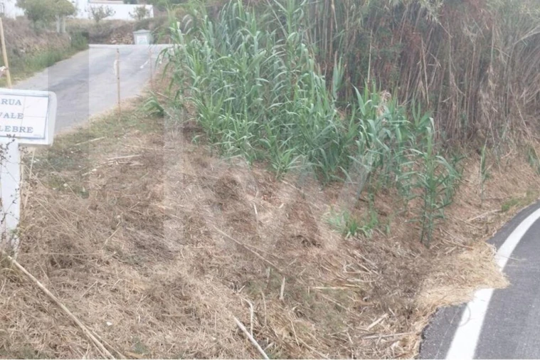 Terreno para Venda em Santo Isidoro Foto 11