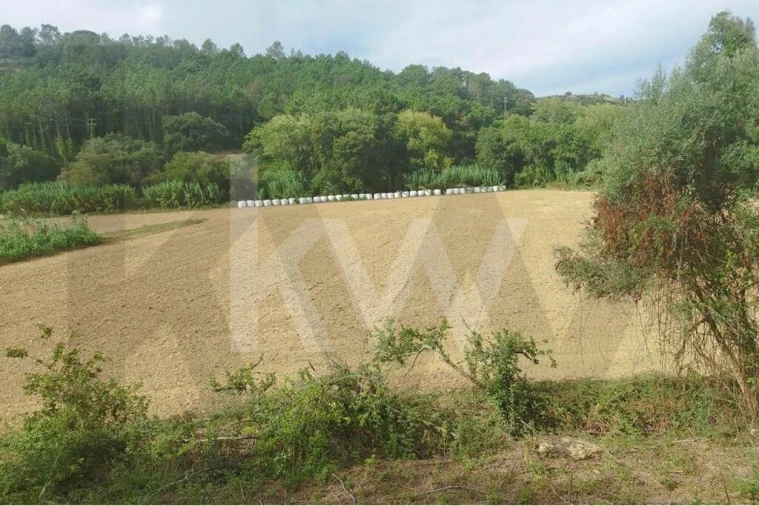 Terreno para Venda em Santo Isidoro Foto 1