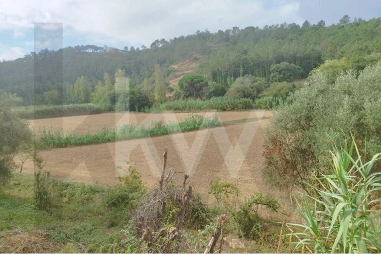 Terreno para Venda em Santo Isidoro Foto 6