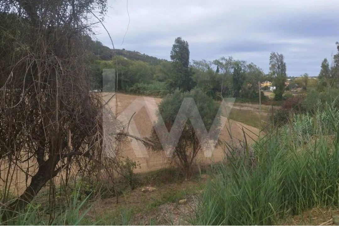 Terreno para Venda em Santo Isidoro Foto 9